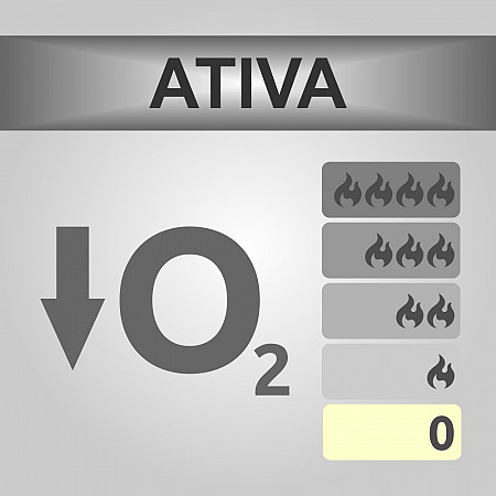 Sistema de Detecção ATIVA
